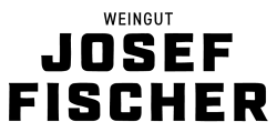 Vincenzo Toffoli logo